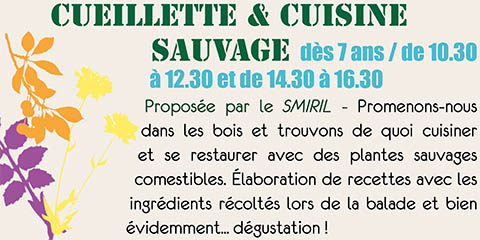 Cueillette & cuisine sauvage